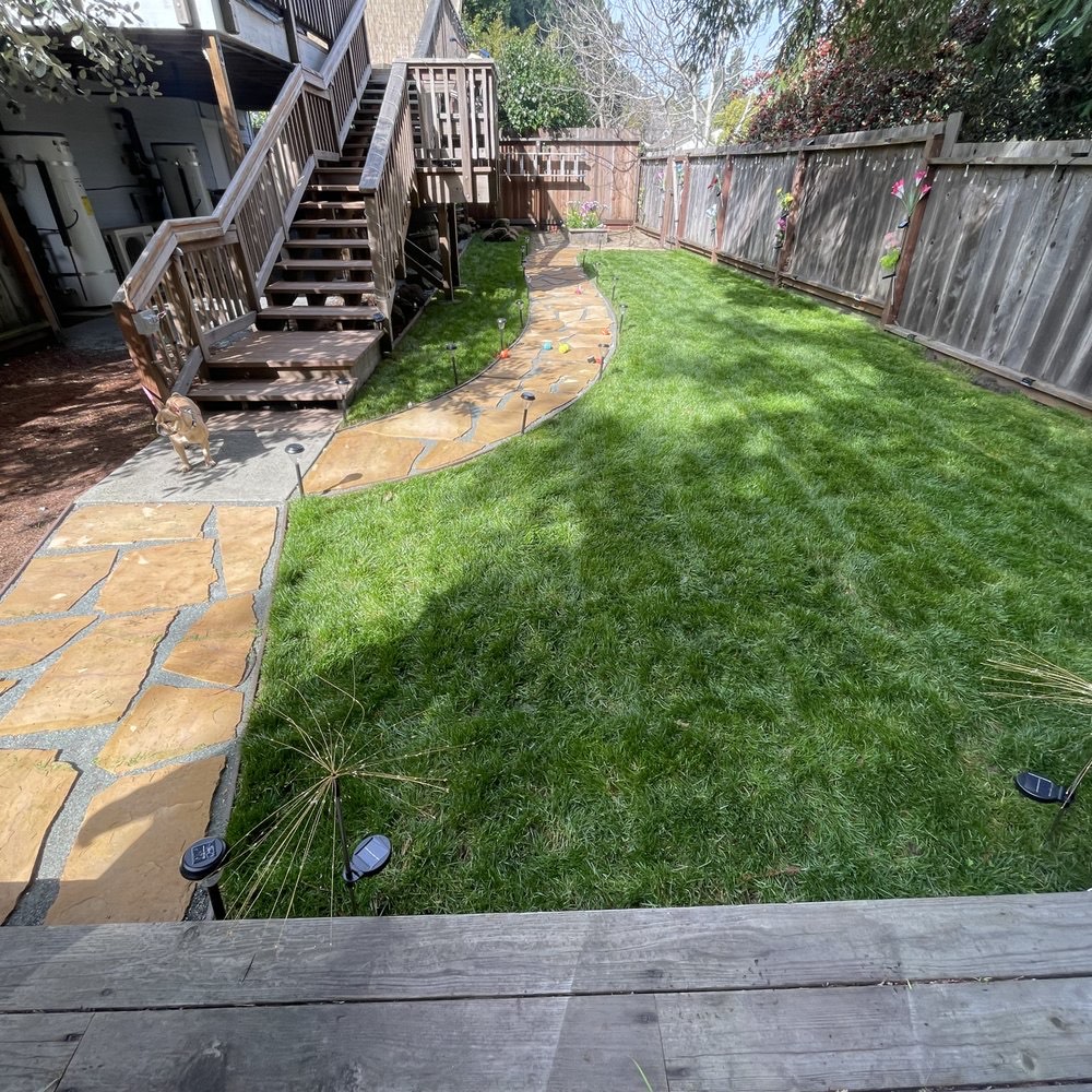 Backyard with new lawn, stone path and wood deck